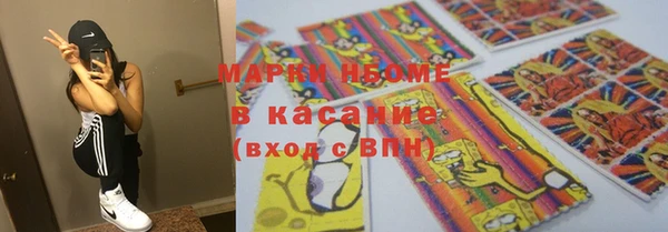 spice Ельня