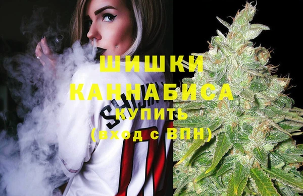 spice Ельня